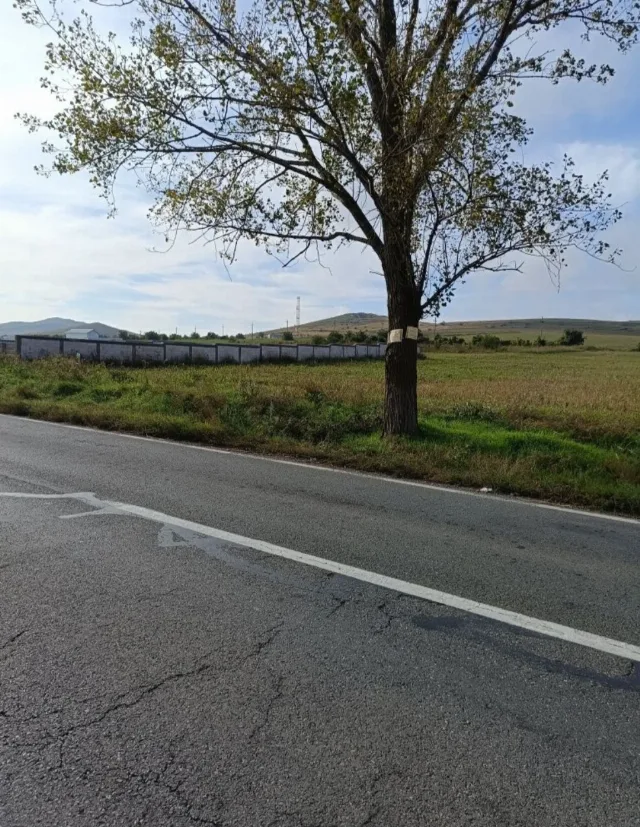 Intravilan 1600m² – fotografia 5 din 5
