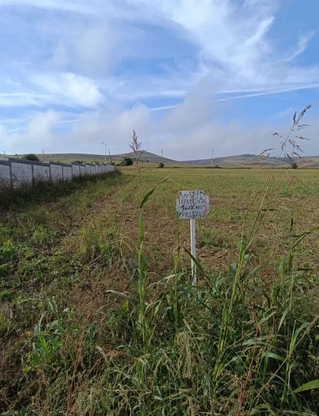 Intravilan 1600m² – fotografia 3 din 5