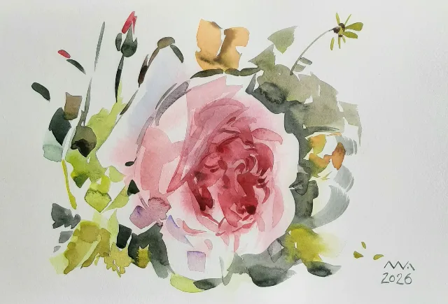 Acuarela 20 x 29 cm (rama + passepartaut) – Iasi, Iași