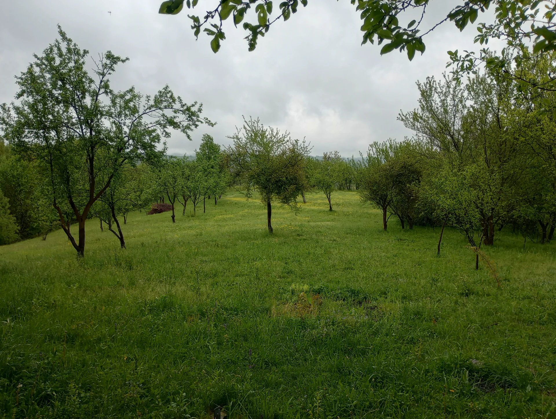Teren intravilan pe deal – fotografia 1 din 8