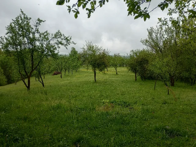 Teren intravilan pe deal – Drajna de Jos, Prahova