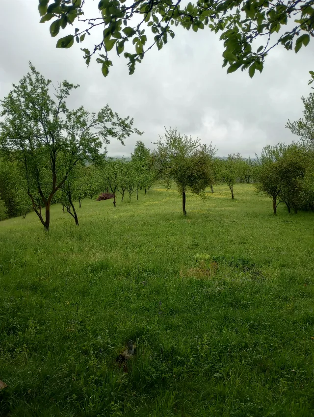 Teren intravilan pe deal – fotografia 2 din 8