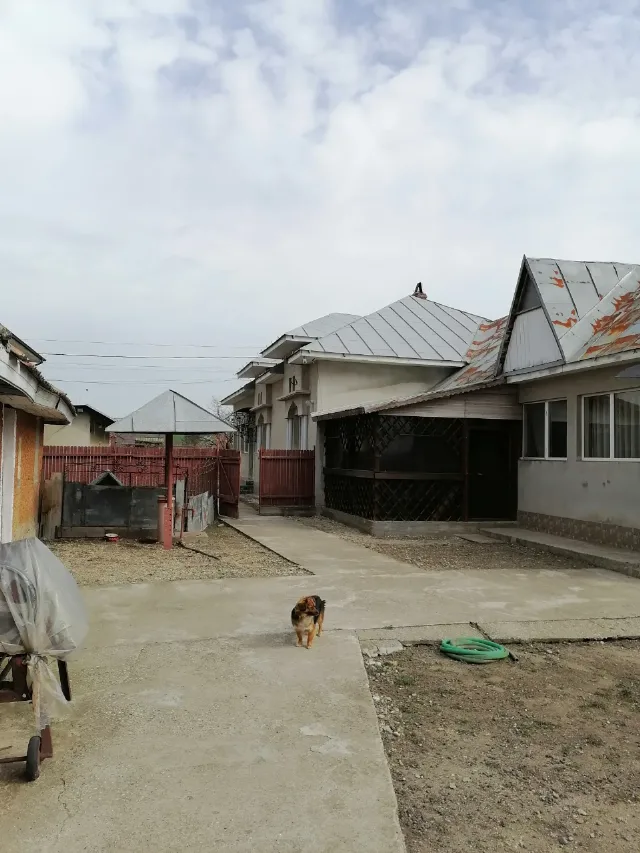 Casă și grădină – fotografia 8 din 8