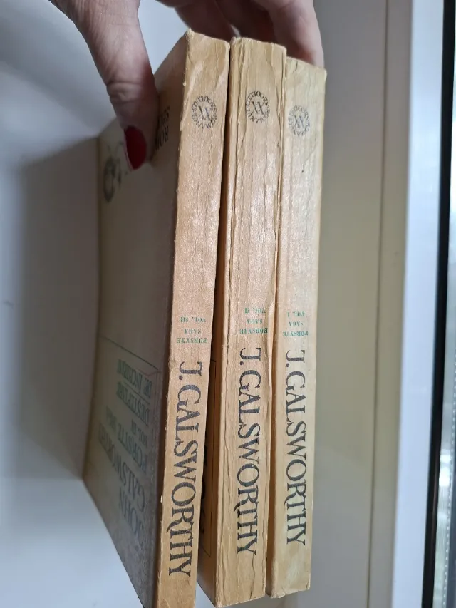 Forsyte Saga-John Galsworthy (Ed. 1969), Set 3 volume de colecție
Vând setul complet – fotografia 5 din 6