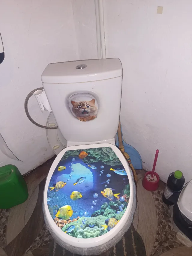 cabina dus,chiuveta baie cu dulăpior vas toaleta – fotografia 2 din 3