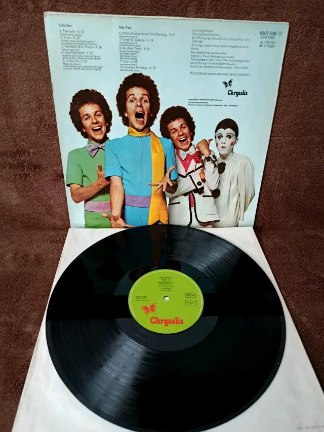 LEO SAYER - Just a Boy  (LP  1974 Germania) – fotografia 2 din 3