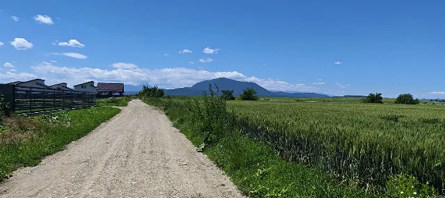 Terenuri de vânzare Hălchiu, Brașov, zonă de case noi. – fotografia 4 din 8