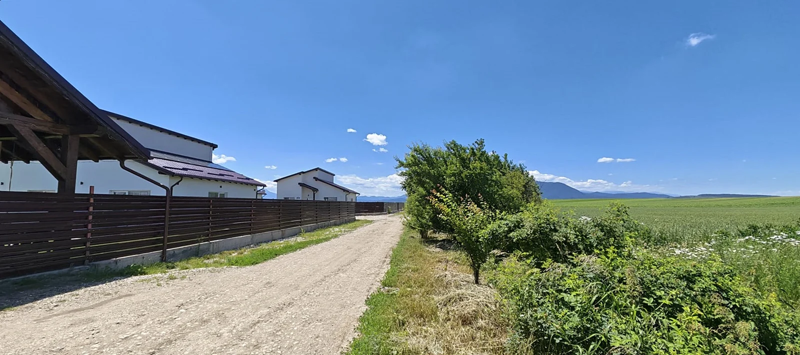 Terenuri de vânzare Hălchiu, Brașov, zonă de case noi. – fotografia 1 din 8