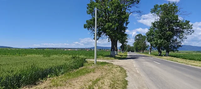 Terenuri de vânzare Hălchiu, Brașov, zonă de case noi. – fotografia 3 din 8
