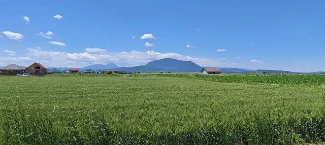 Terenuri de vânzare Hălchiu, Brașov, zonă de case noi. – fotografia 6 din 8