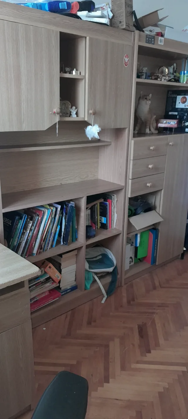 Mobilier de tineret – fotografia 3 din 7