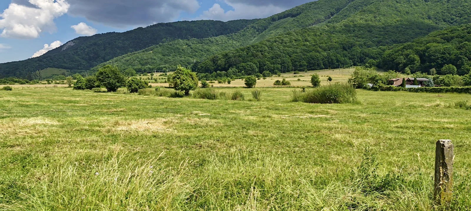 Teren intravilan - padure de agrement - in Brasov. – fotografia 1 din 6