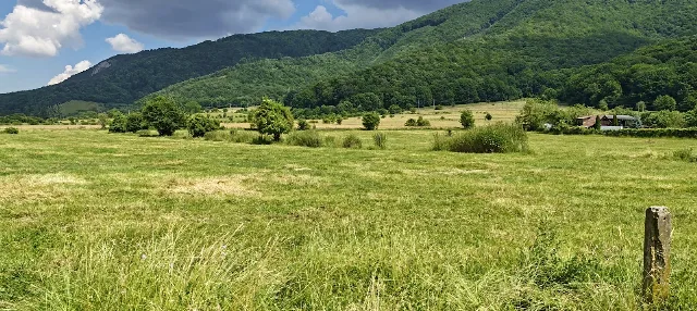 Teren intravilan - padure de agrement - in Brasov. – Brasov, Brașov