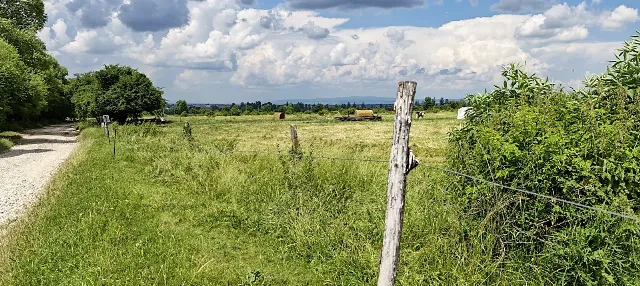 Teren intravilan - padure de agrement - in Brasov. – fotografia 6 din 6