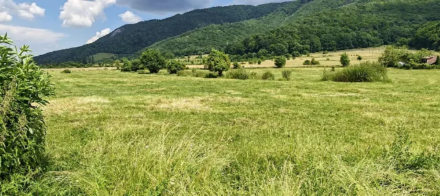 Teren intravilan - padure de agrement - in Brasov. – fotografia 3 din 6