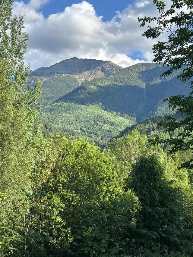 teren extravilan – Moisei, Maramureș