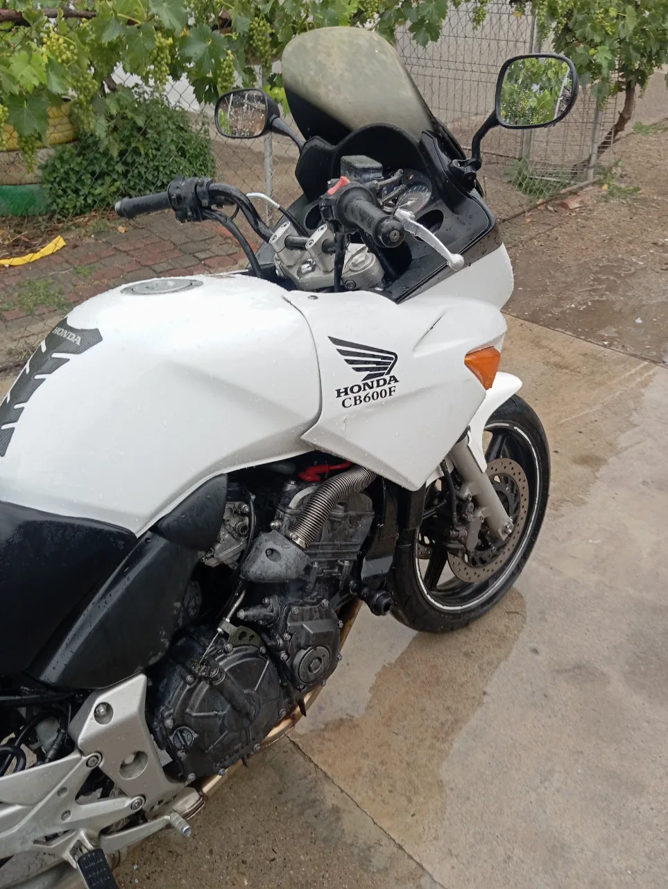 Honda CBF 600 de vânzare – fotografia 5 din 7