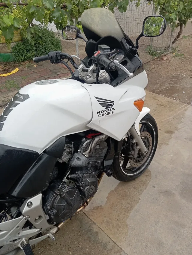 Honda CBF 600 de vânzare – fotografia 5 din 7