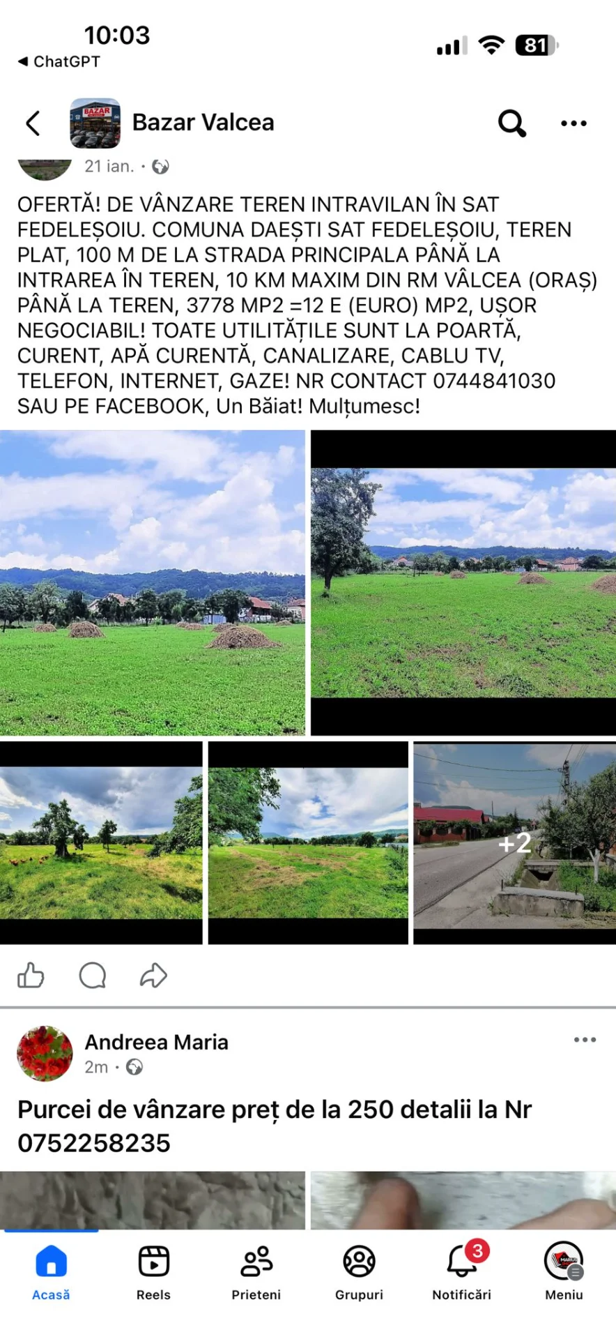 Teren de vânzare – Fedelesoiu, Vâlcea
