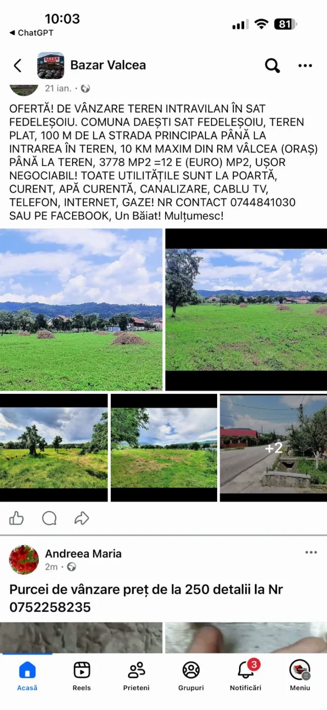 Teren de vânzare – Fedelesoiu, Vâlcea
