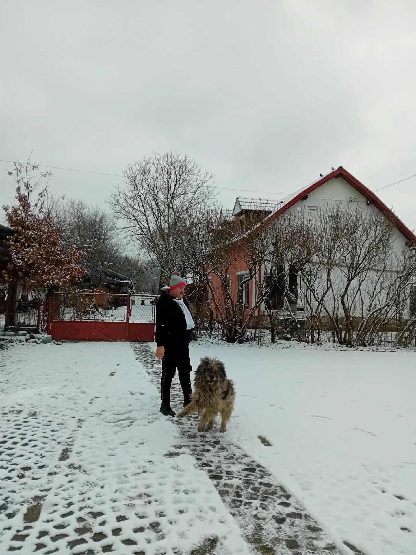 Casa de locuit cu spații de închiriat în scop turistic – Brad, Hunedoara – Pensiuni