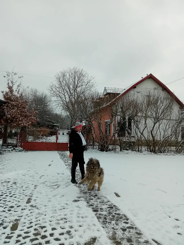 Casa de locuit cu spații de închiriat în scop turistic – Brad, Hunedoara