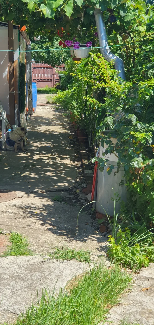 Casă de vânzare în Ploiești – fotografia 5 din 8