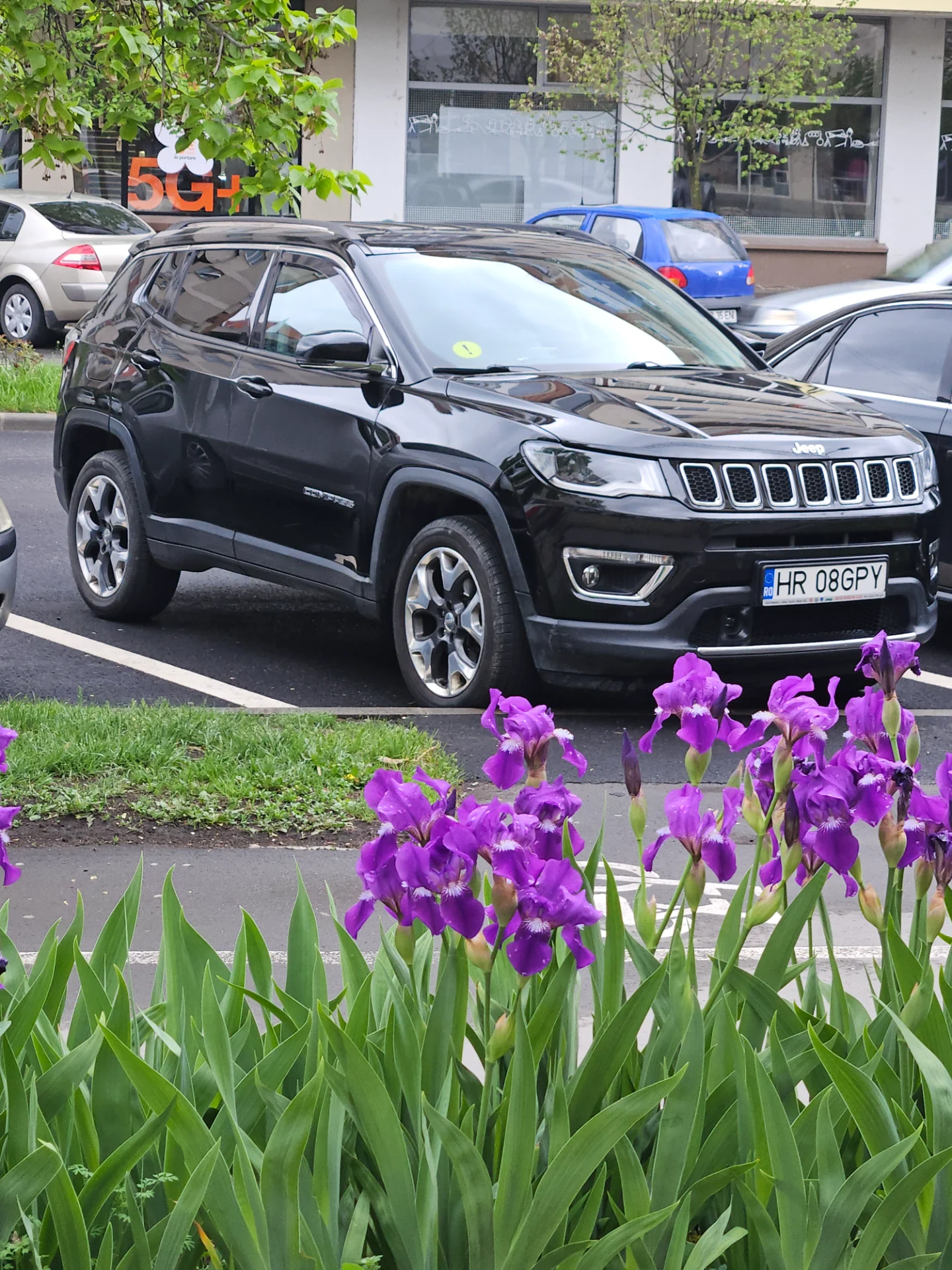 Jeep Compass 2.0, 4X4, 170cp – fotografia 1 din 8
