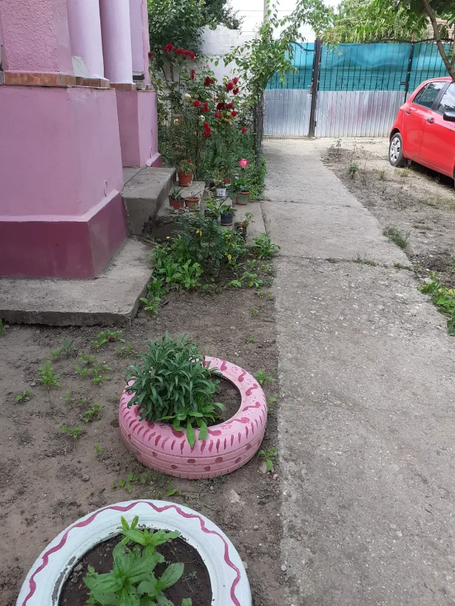 Casa de vanzare – fotografia 4 din 4