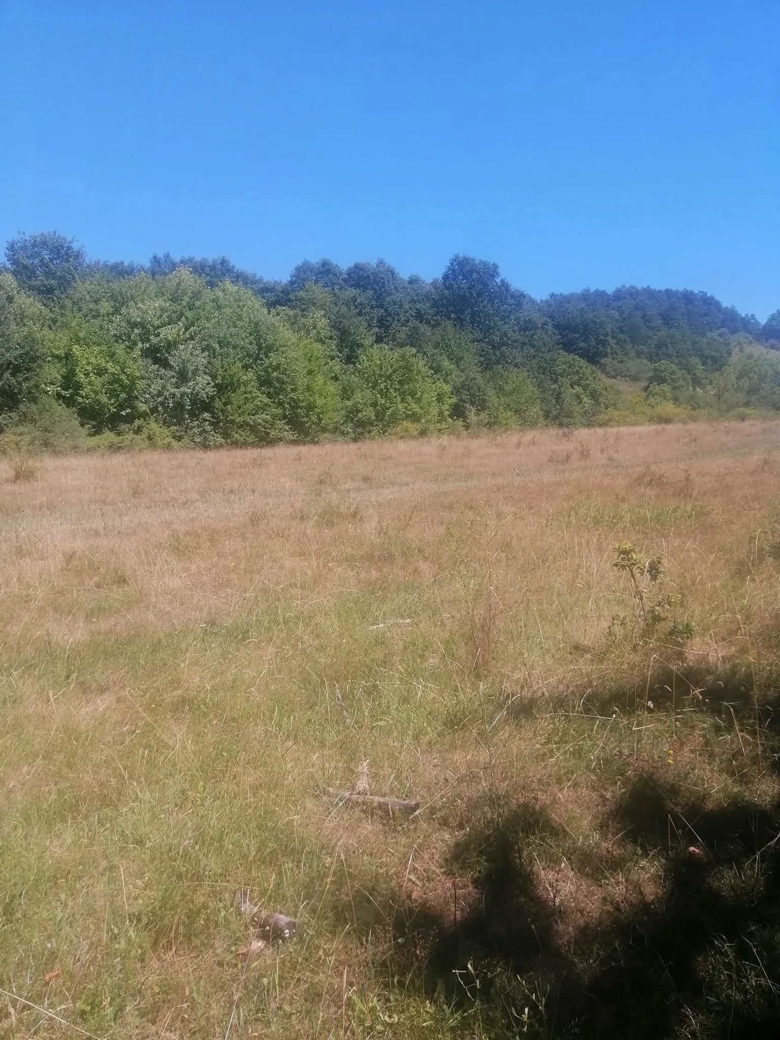 Teren extravilan cu acte – Lita, Cluj