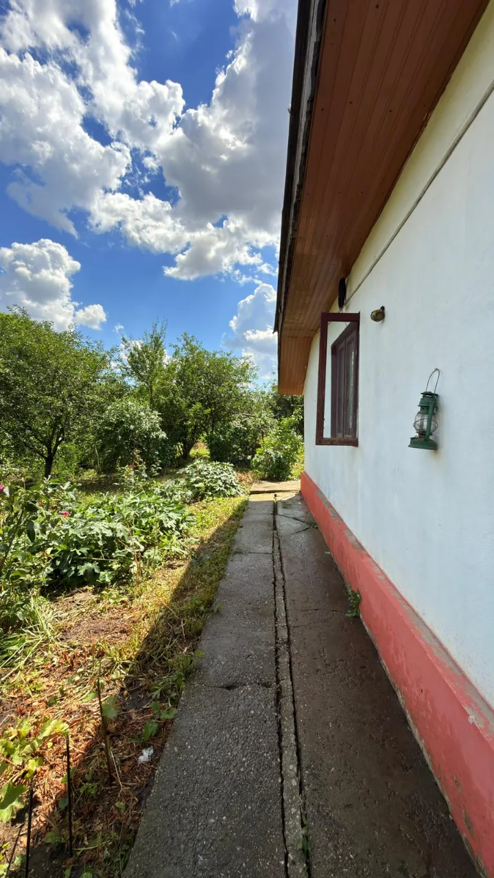 Cumpăr casă în Ilfov sau limitrofe – 1 Decembrie, Ilfov