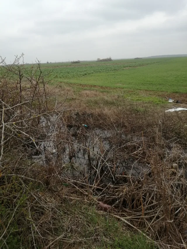 Vând teren agricol – fotografia 4 din 4