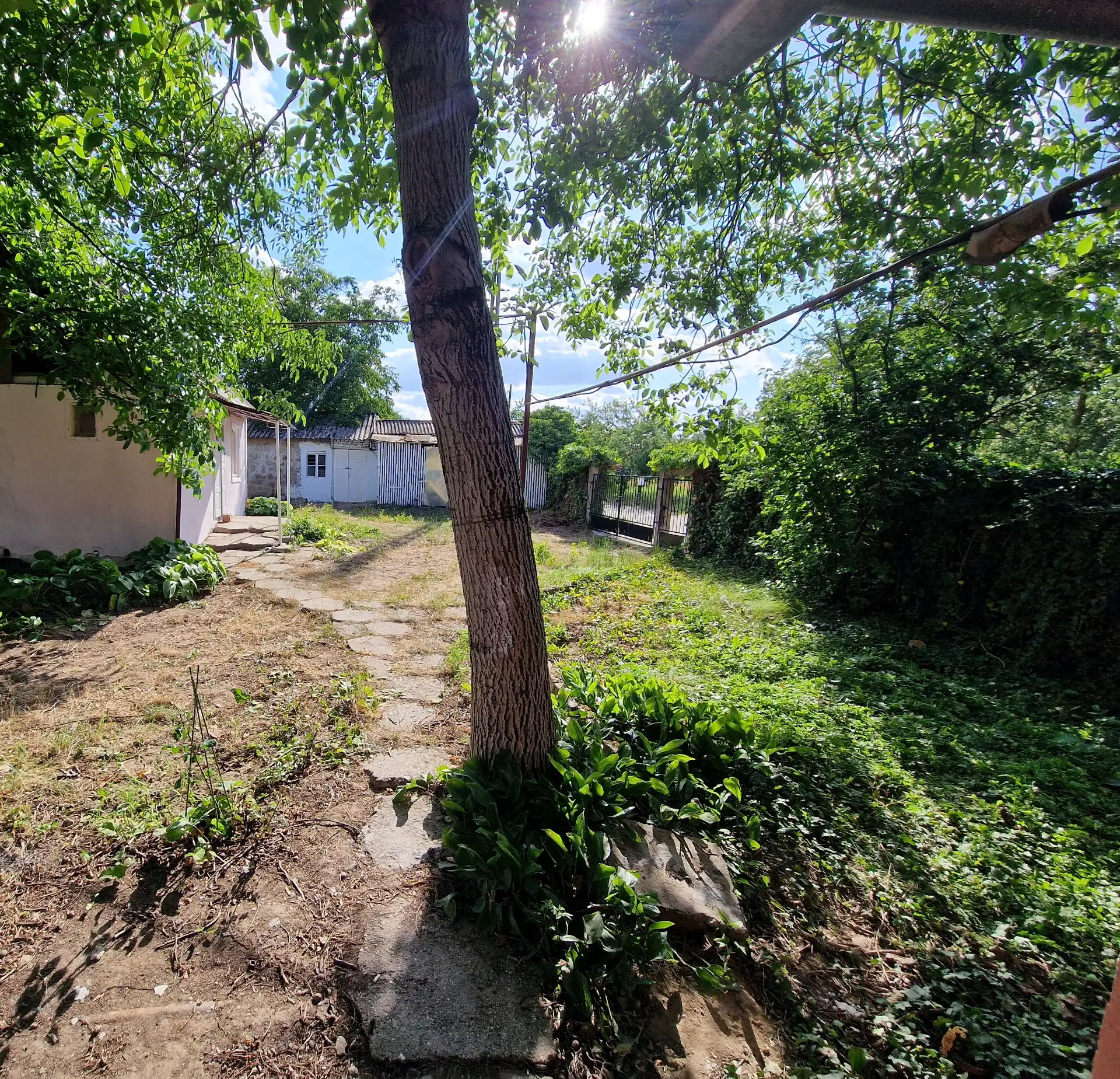 Proprietate cu două case independente pe 728 mp – pivniță din piatră pe sol, garaj, anexe, grădină, încălzire cu gaz – fotografia 3 din 7