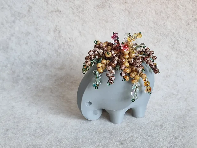 Elefant cu plantă suculentă – fotografia 3 din 4