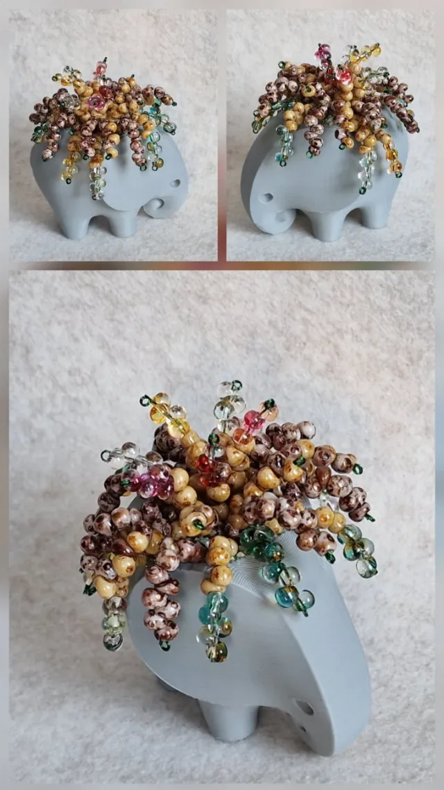 Elefant cu plantă suculentă – fotografia 4 din 4