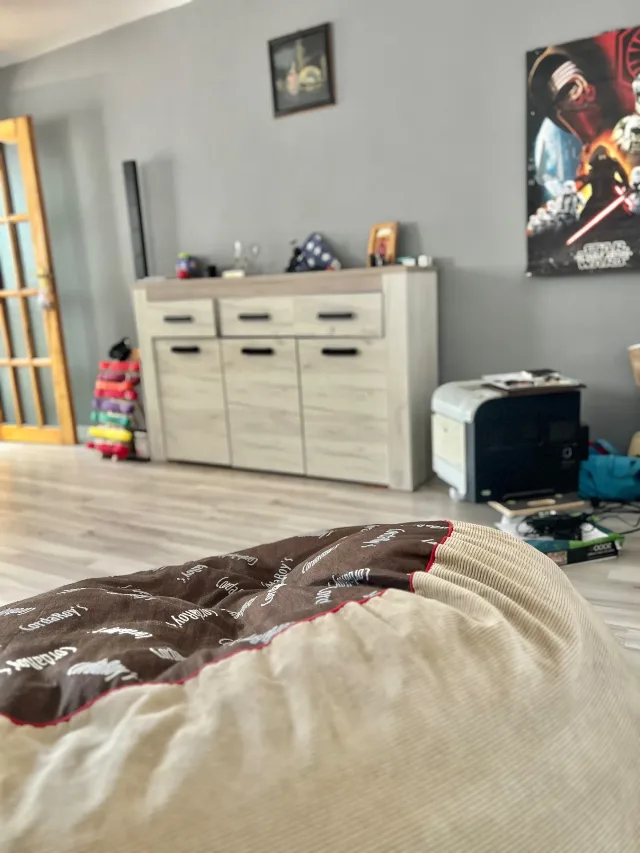Casă individuală P+1 | Zona Brâncoveanu - Alunișului | Complet renovată, mobilată și utilată ,190mp, curte, pivniță .15 min orășelul Copiilor, metrou – fotografia 3 din 6