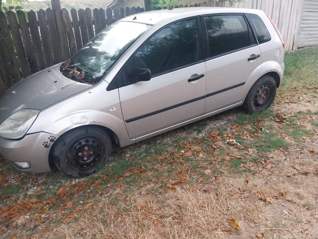Ford Fiesta 2005 – Gorj, Gorj