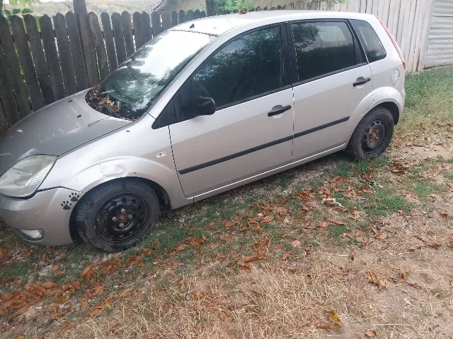 Ford Fiesta 2005 – Gorj, Gorj