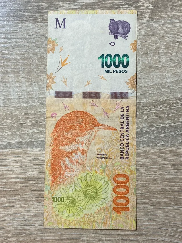 Argentina - 1000 pesos 2019 – Iasi, Iași