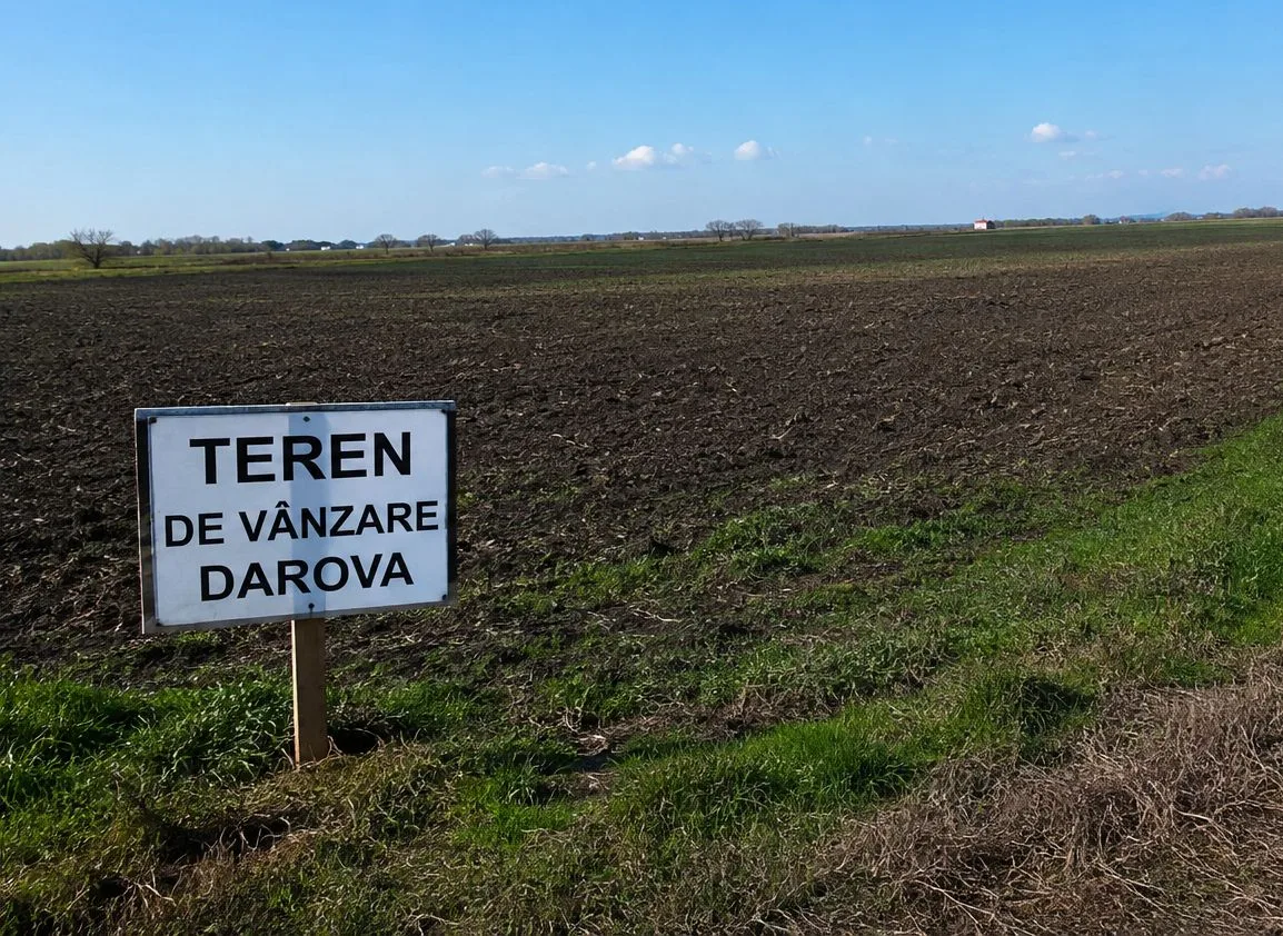 Teren extravilan de vânzare 5 ha Darova – Darova, Timiș