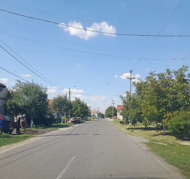 Loc de casa in vatra veche a satului Dudestii Noi – fotografia 3 din 4