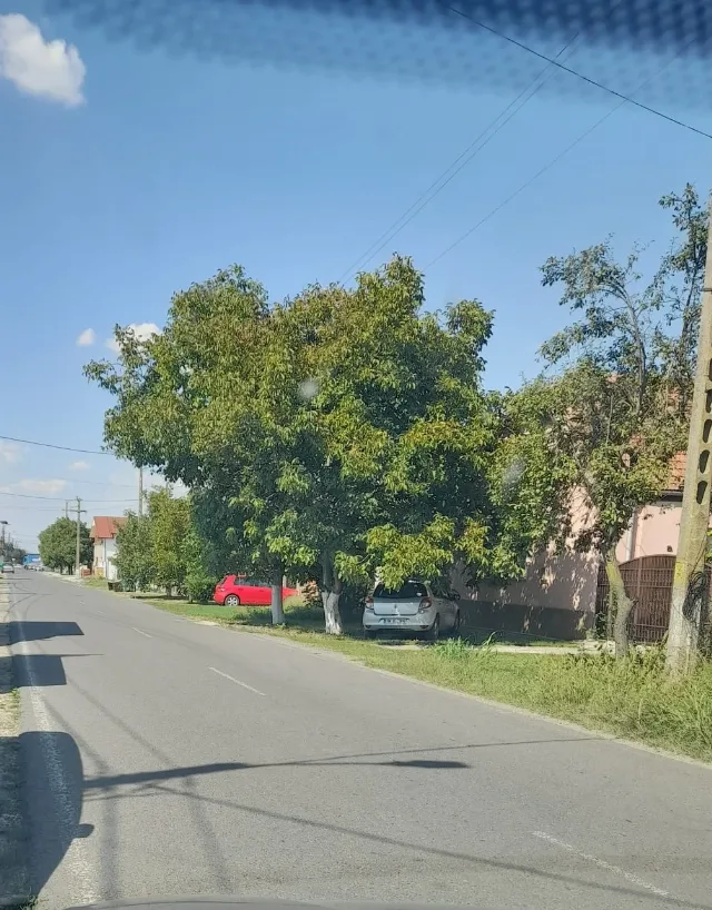 Loc de casa in vatra veche a satului Dudestii Noi – fotografia 2 din 4