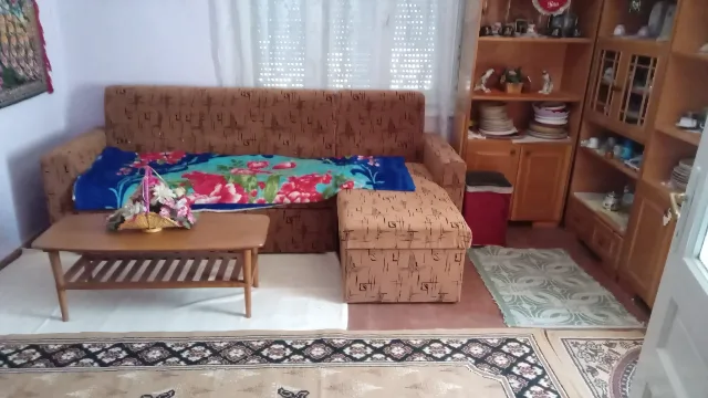 Casa de vânzare in comuna Macea, jud.Arad – fotografia 6 din 7