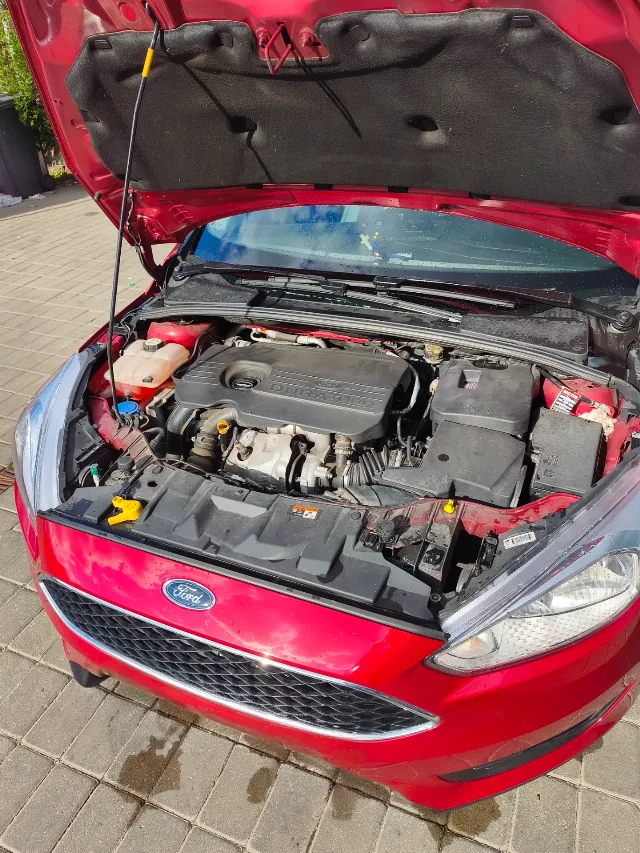 Ford Focus 1.5 2017 – fotografia 7 din 8
