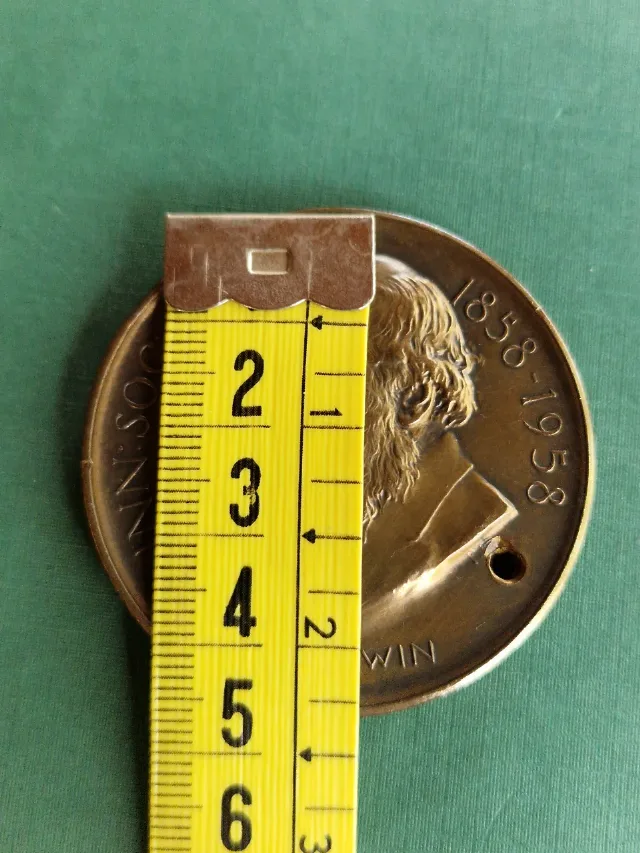 Medalie din bronz comemorativa – fotografia 3 din 4