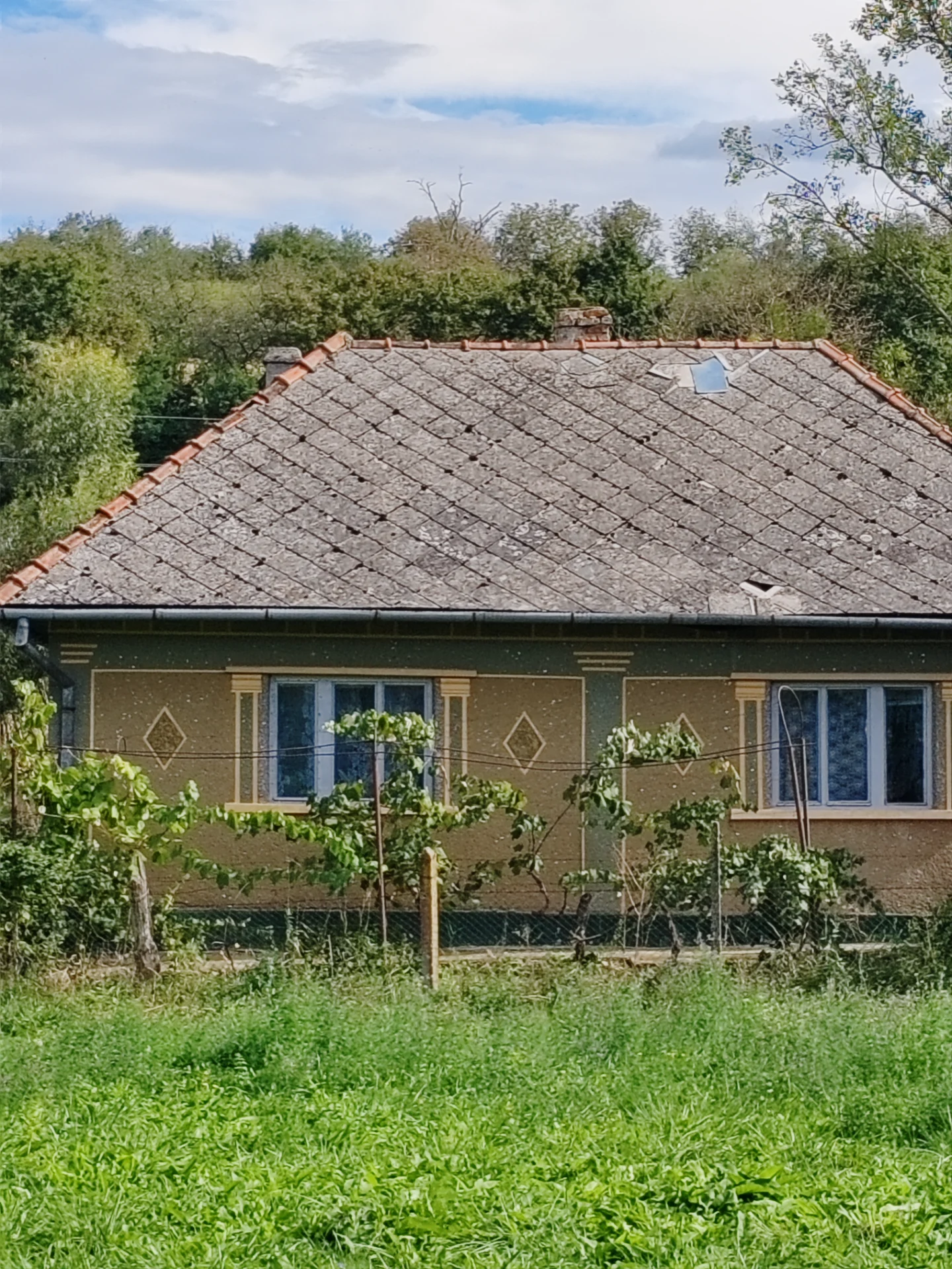 Casă Cehal, jud. Satu Mare, 43 ari teren, anexe, utilități – – Cehal, Satu Mare