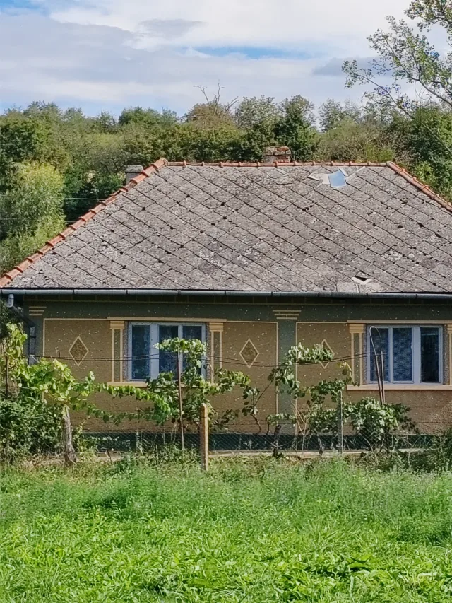 Casă Cehal, jud. Satu Mare, 43 ari teren, anexe, utilități – – Cehal, Satu Mare