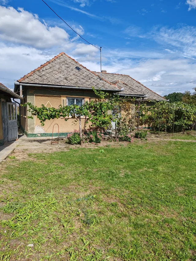 Casă Cehal, jud. Satu Mare, 43 ari teren, anexe, utilități – – fotografia 4 din 7
