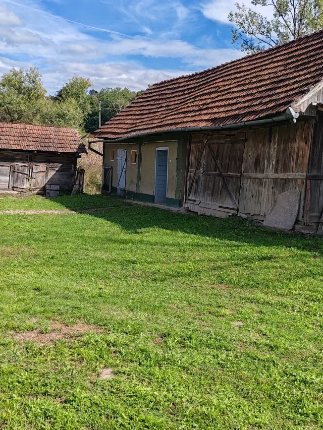 Casă Cehal, jud. Satu Mare, 43 ari teren, anexe, utilități – – fotografia 5 din 7