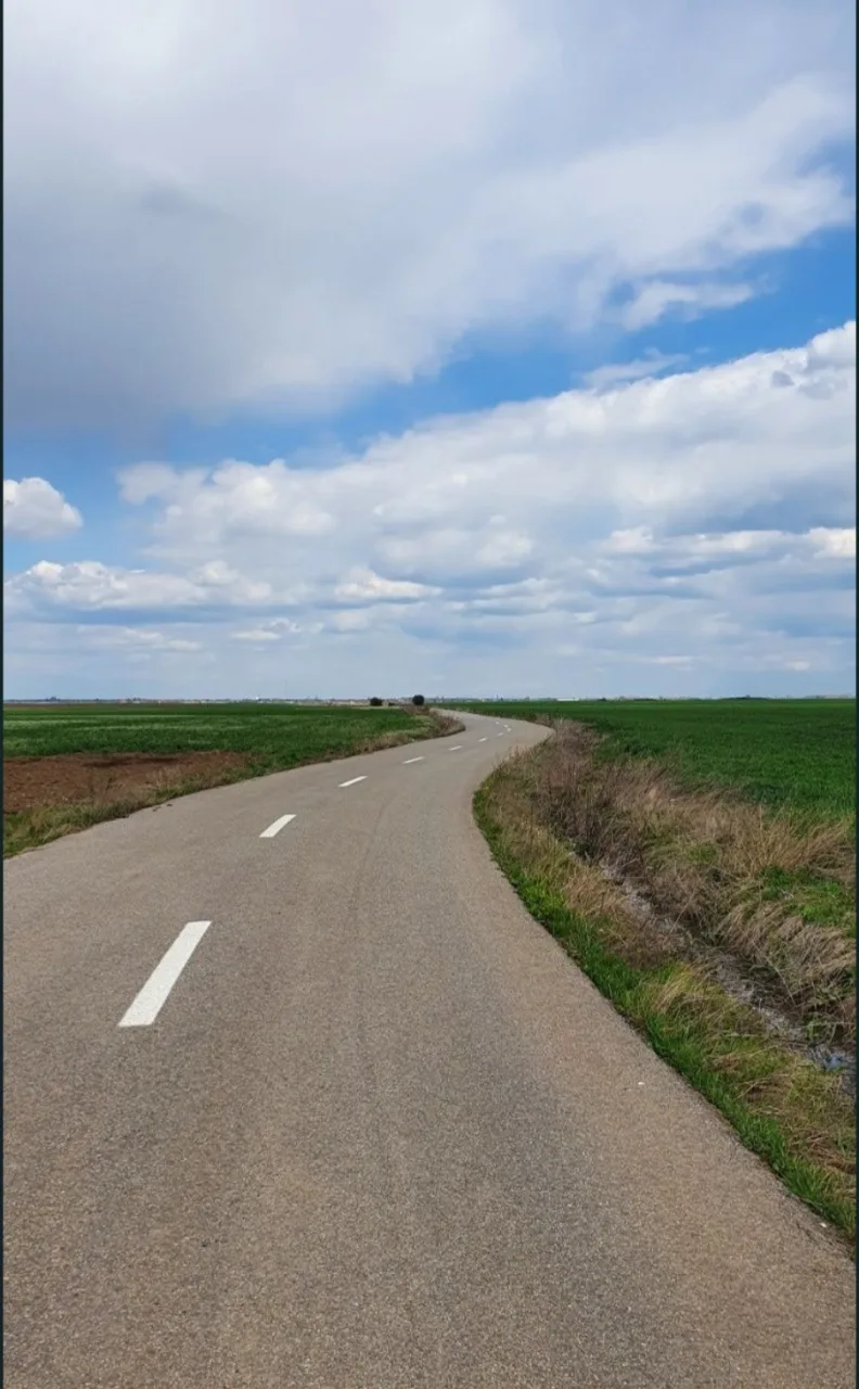 teren intravilan 5912mp – Darasti-Vlasca, Giurgiu